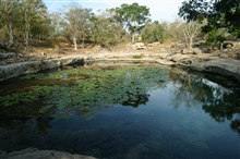 Cenote