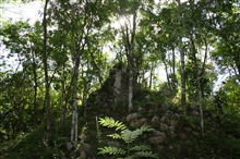 Unexcavated Ruins